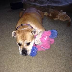 Meet your Posher, Cheryl